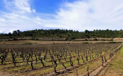 2 Études de Notaire historiques en Occitanie (zone rurale).