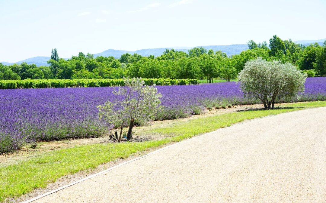 Cession de 50 % parts d’une  jeune étude –  Belle ville des Bouches du Rhône