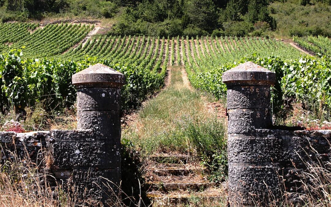 Étude à céder dans une grande ville de Bourgogne (+ 30 000 habitants)