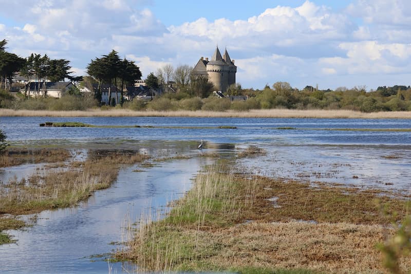 Association dans un office historique – Golfe du Morbihan (56)
