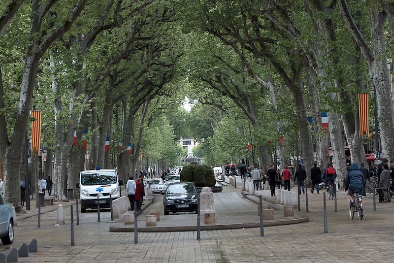 Allée de platanes formant une voûte verte sur le Cours Mirabeau à Aix-en-Provence avec drapeaux français et occitans.